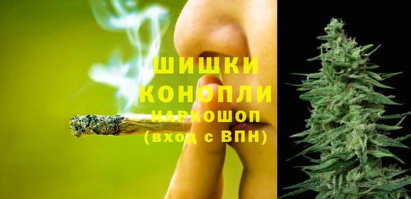 трава Белокуриха