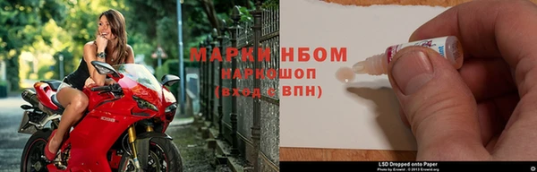 трава Белокуриха