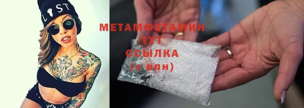 трава Белокуриха