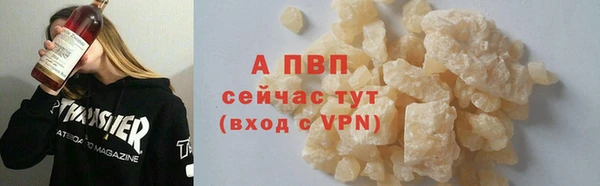 индика Богородск