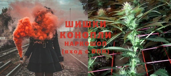 трава Белокуриха