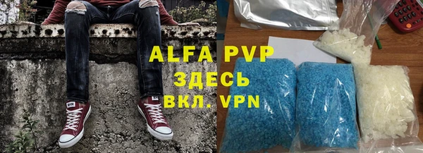 трава Белокуриха