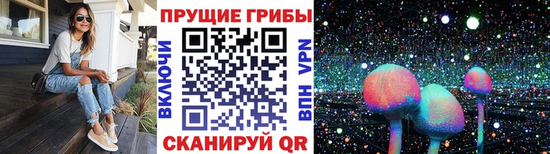 Псилоцибиновые грибы прущие грибы  ссылка на мегу ONION  Раменское 